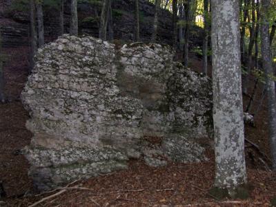 Прикрепленное изображение: DSCF5861.jpg